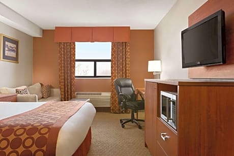 1 Queen Bed Non-Smoking