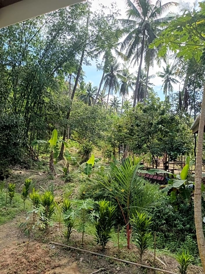 Chom Suan Farmstay
