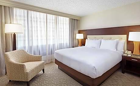 Large King Room with Sofa Bed