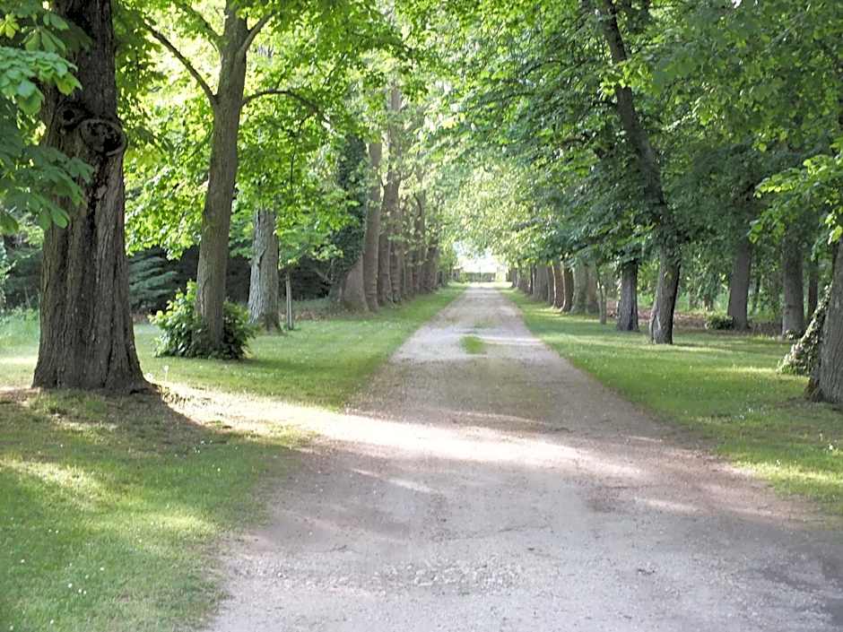 Château de Nazé Vivy-Saumur