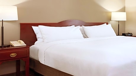 Executive Suite - Disability Access with Roll In Shower