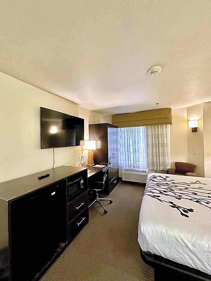 Sleep Inn And Suites Central / I-44