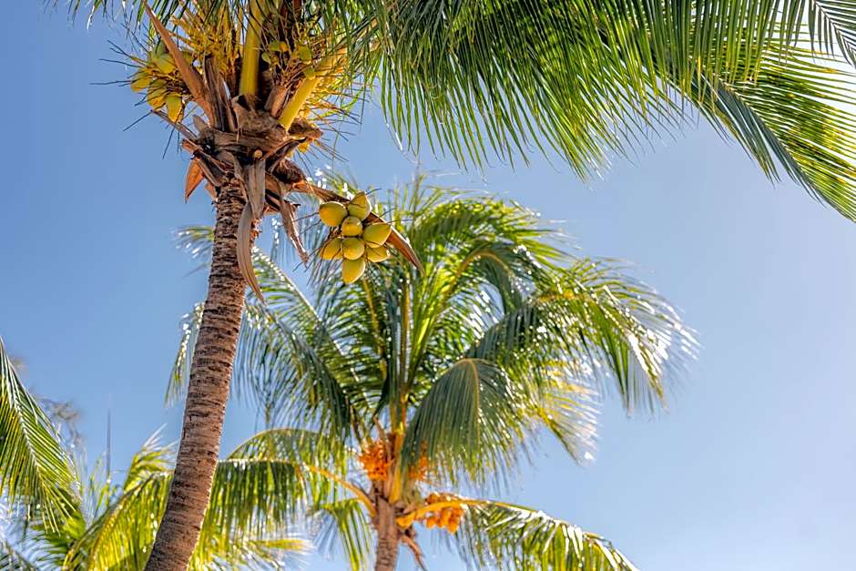 Cocotiers Hotel - Mauritius