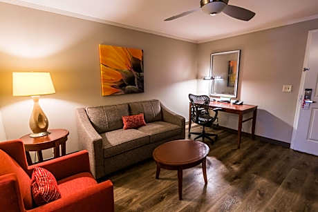 1 King Bed 1 Bedroom Suite With Sofabed