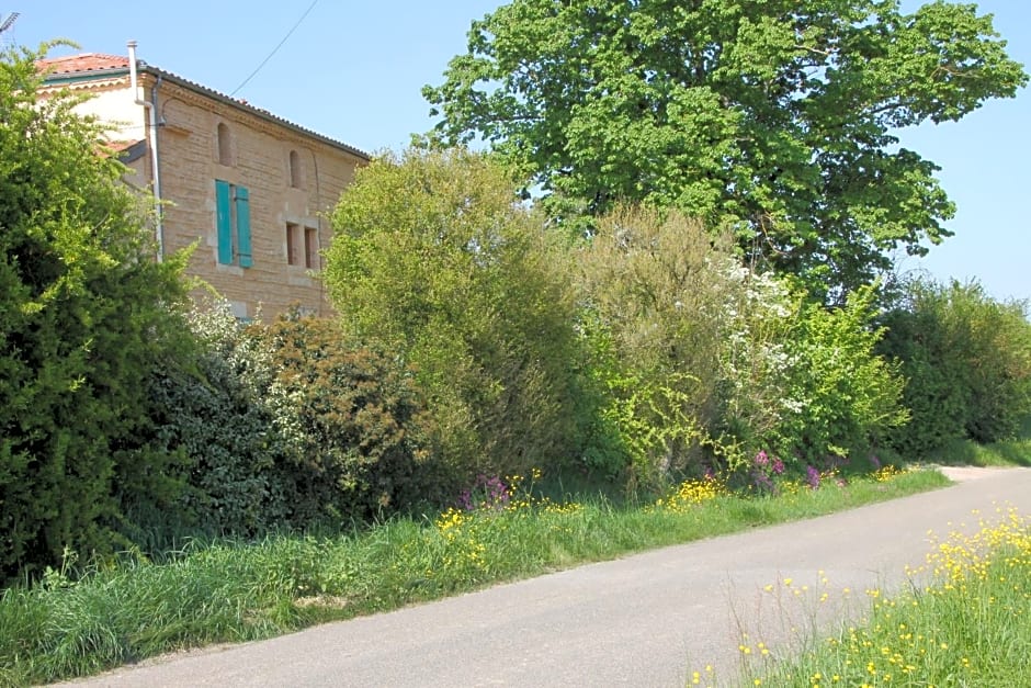 Les Terrasses des Mimosas