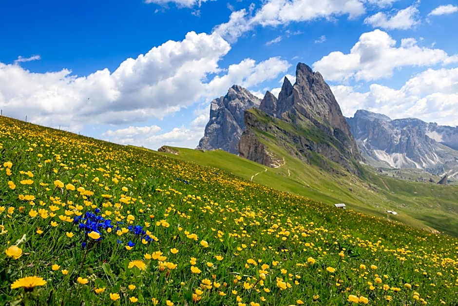 Hotel Garni Snaltnerhof