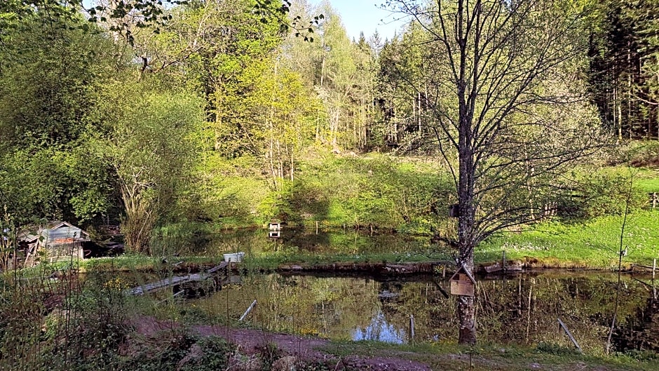 Gut Lauterbad Hotel