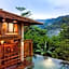 The Shorea