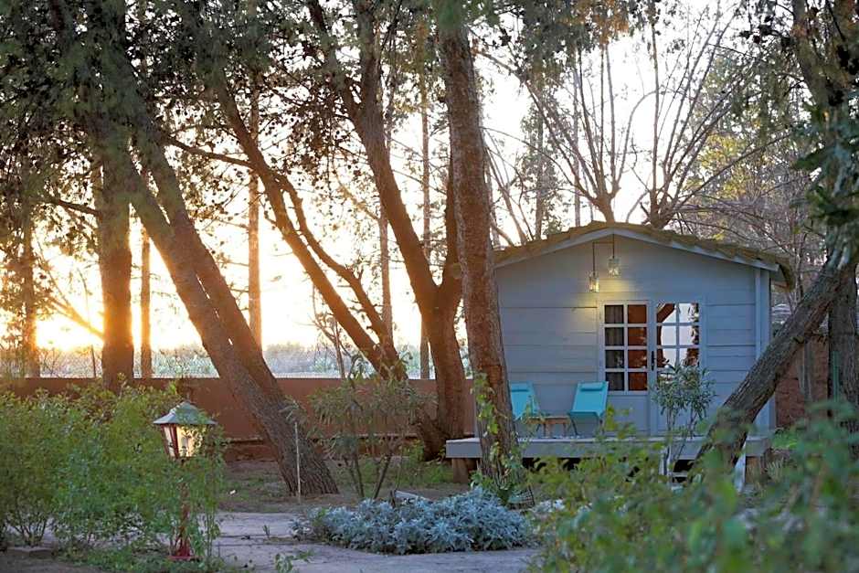 La Vie En Rose - Horses & Dogs House