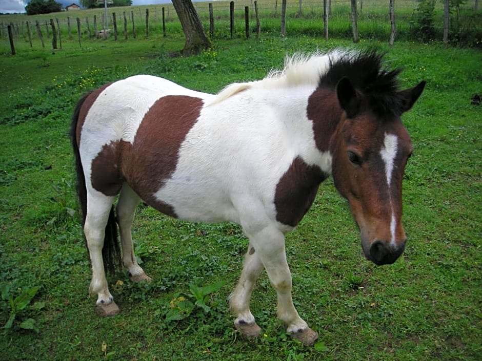 La Source D'Argammet