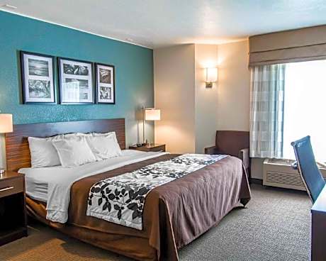 Queen Room - Disability Access/Non-Smoking