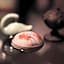 Arima Onsen Tocen Goshobo