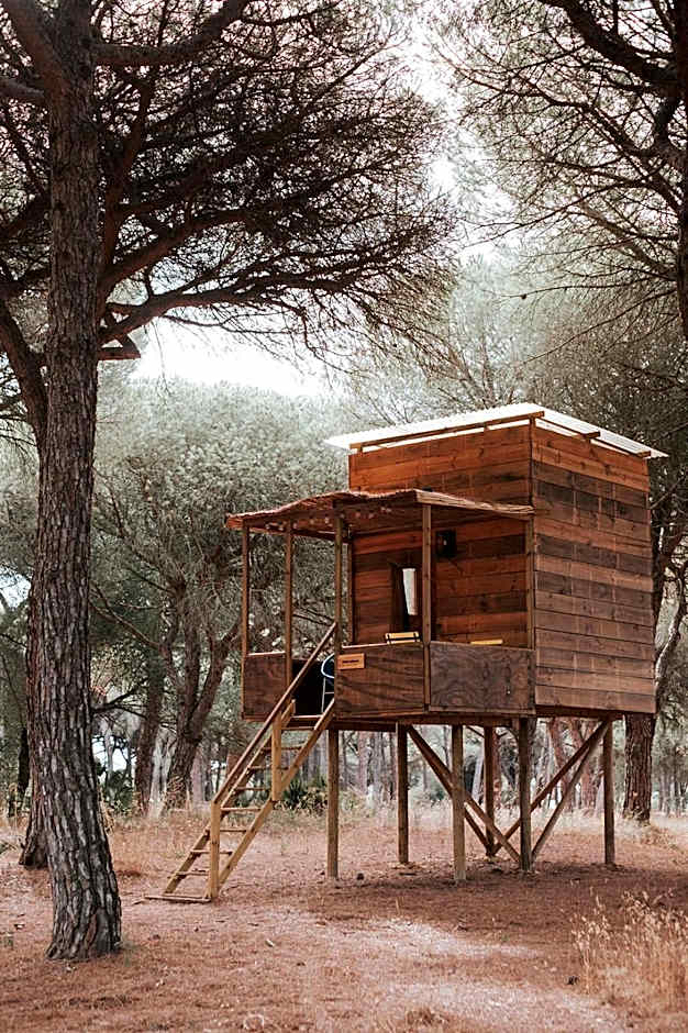 miCielo - Baumhäuser