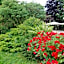Best Western Park Hotel Continental