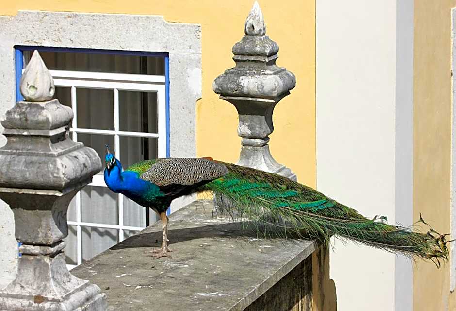 Solar do Castelo - Lisbon Heritage Collection