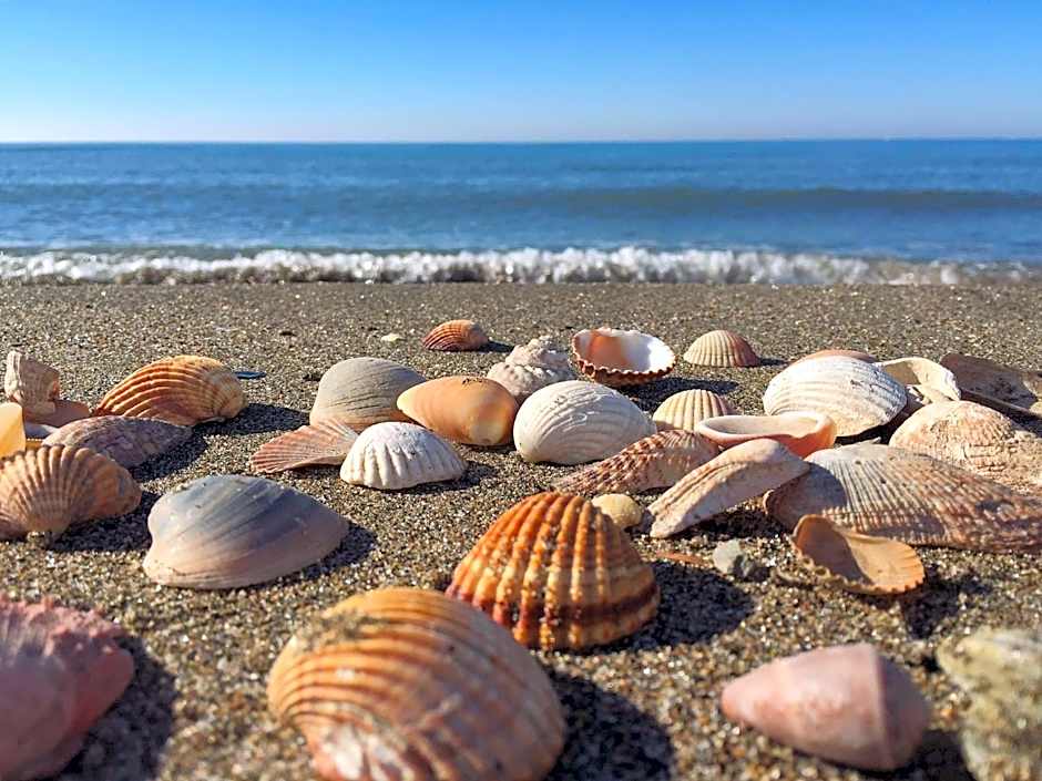 Camping Village Tuscia Tirrenica