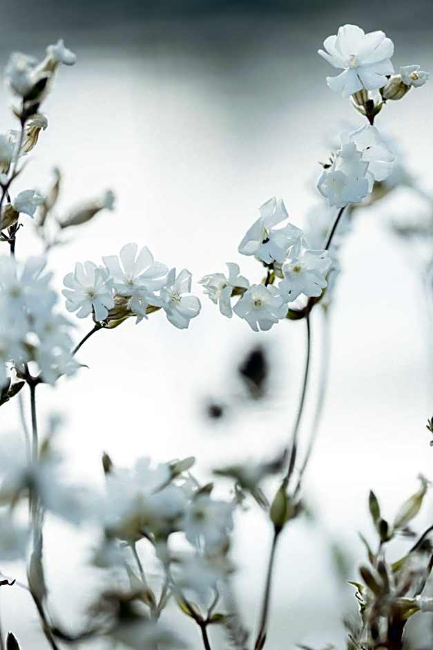 Kona Hotel Verona by Kleos Group Collection