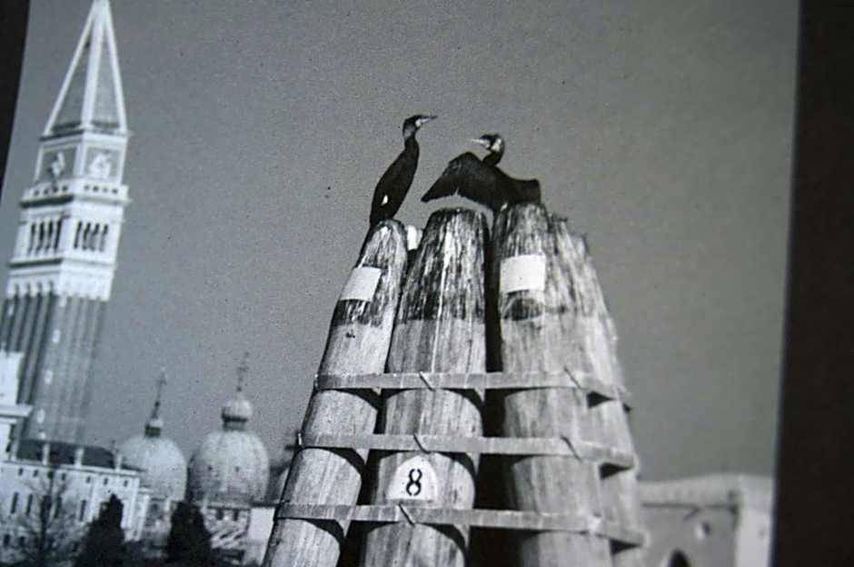 Guesthouse Grand View