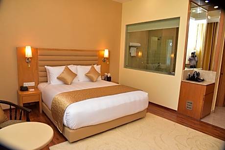 Opulent By Udman Chattarpur