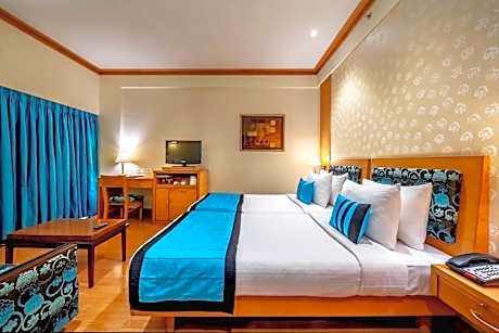 Executive Double Room - 10% off on Laundry and Travel desk