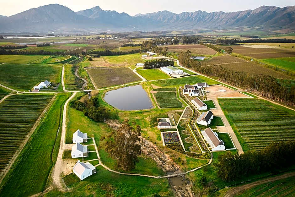 Rijk's Wine Estate & Guesthouse