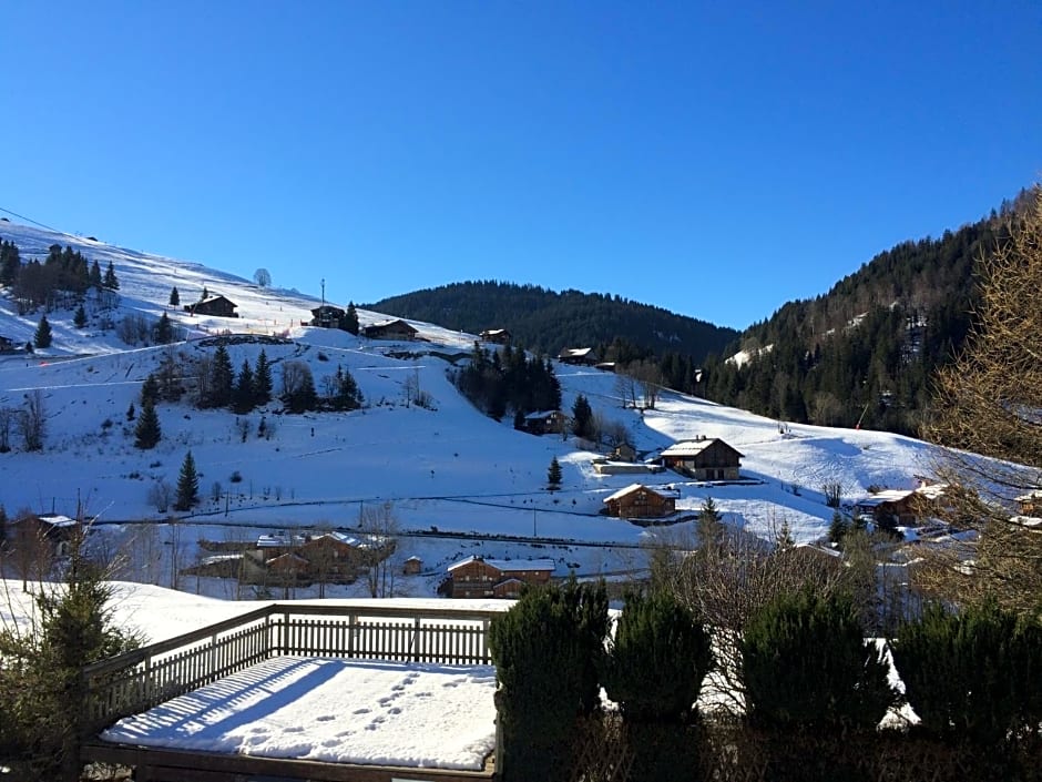 Chalet-Hôtel du Borderan