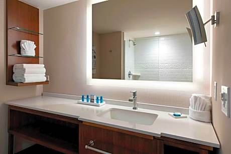 Suite, 1 King, Sofa bed