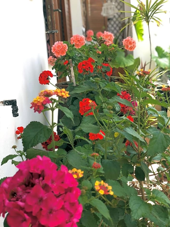 B&B Villa Anna Wunderbar