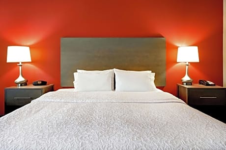 King Studio Suite with Sofa Bed - Non-Smoking