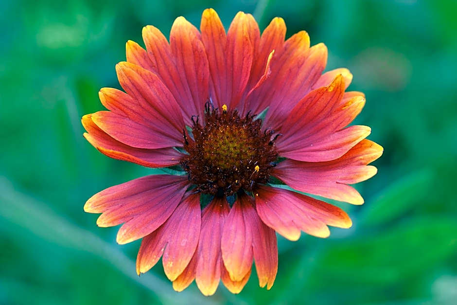 Hotel Residence La Rosa