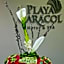 Playa Caracol Hotel & Spa