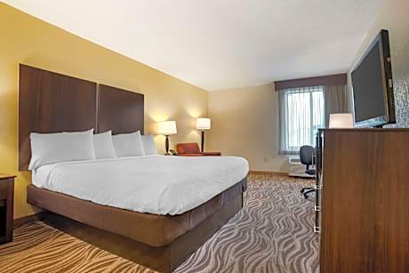 King Room - Pet Friendly/Non-Smoking