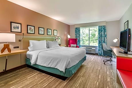 1 King Bed Meeting Suite