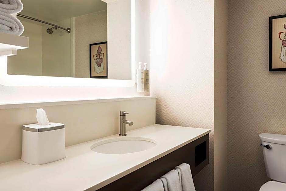 Hampton Inn By Hilton Columbia Downtown Historic District