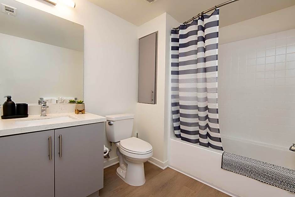 Modern Apartment Rentals