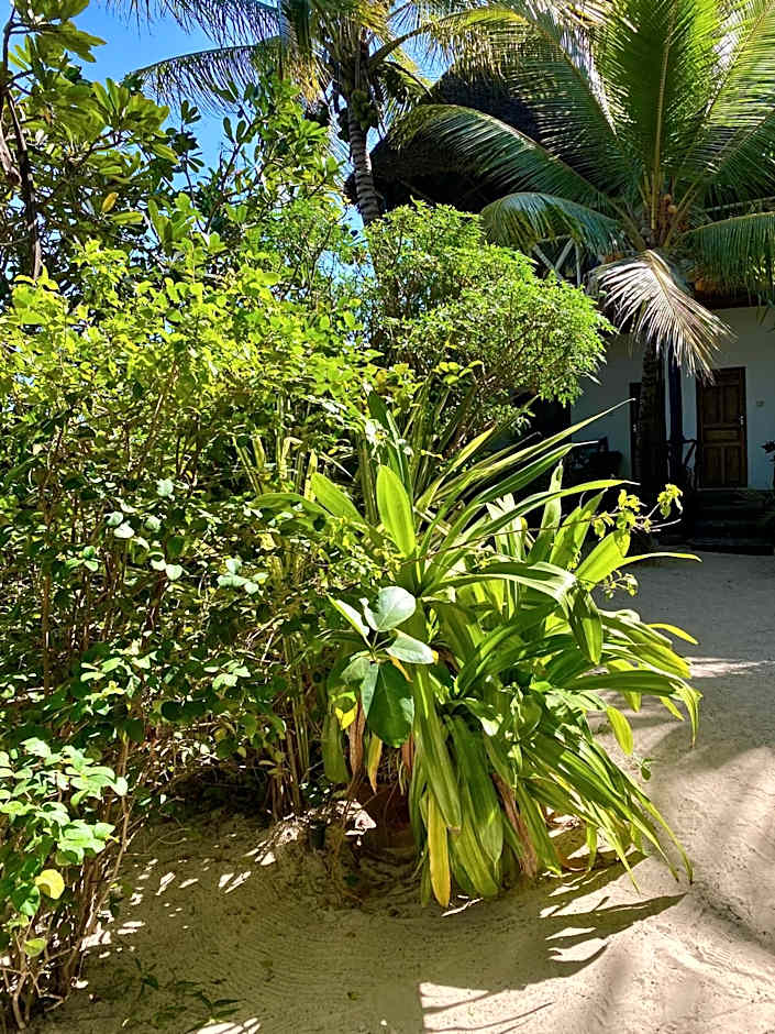 The Seles Boutique Hotel