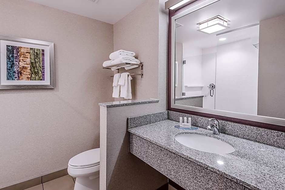Fairfield Inn & Suites by Marriott Chicago Schaumburg