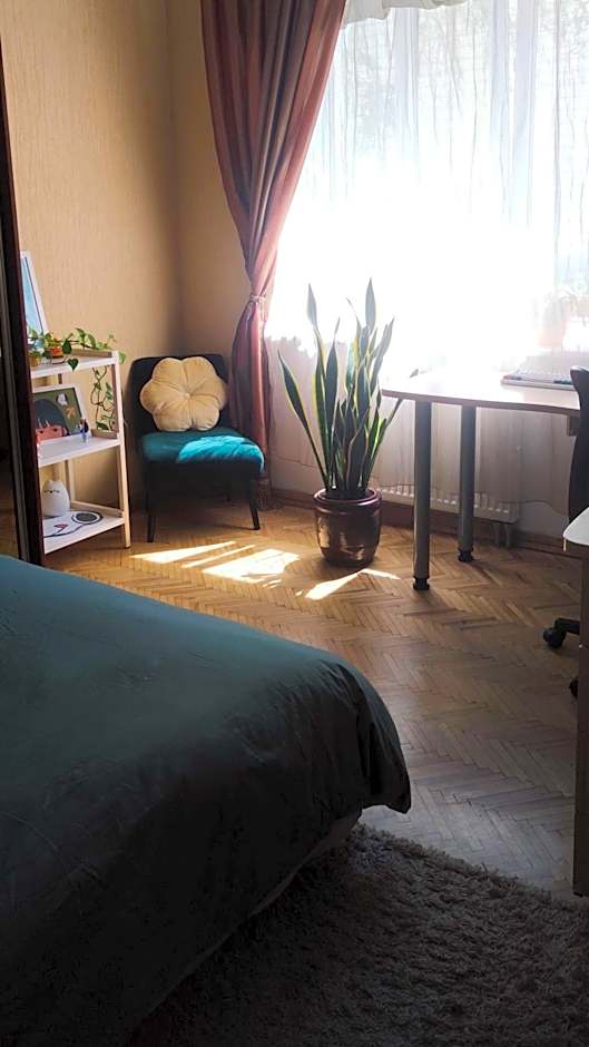 Cozy room in Kaunas