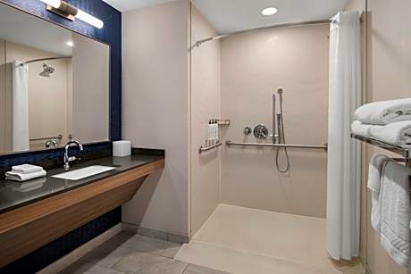 One-Bedroom King Suite with Roll-In Shower and Sofa Bed - Mobility Access