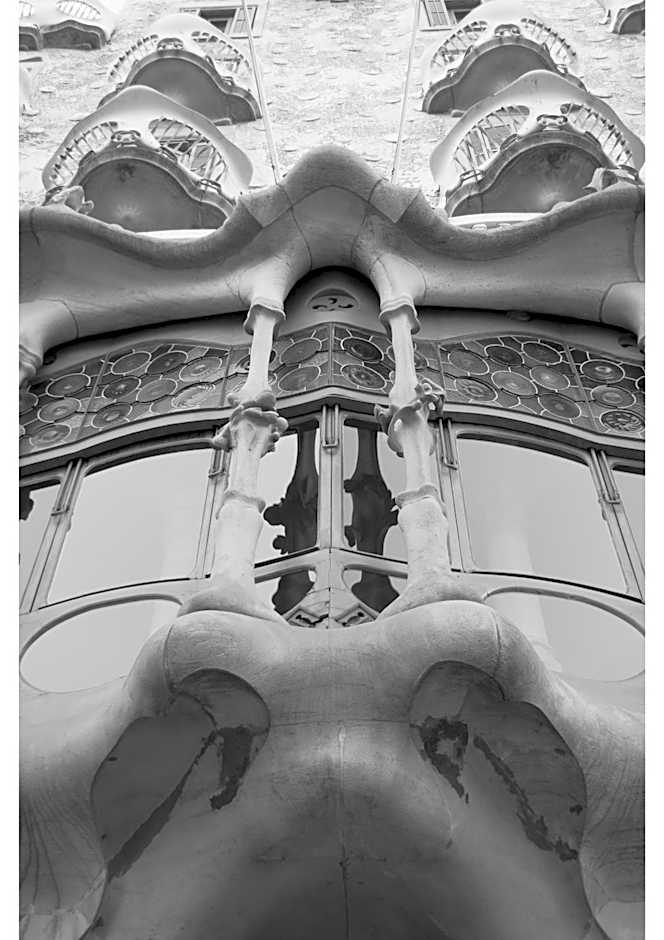 Forget Me Not Barcelona