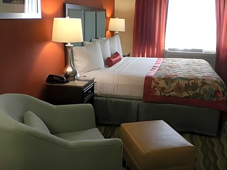 1 Bedroom King Suite