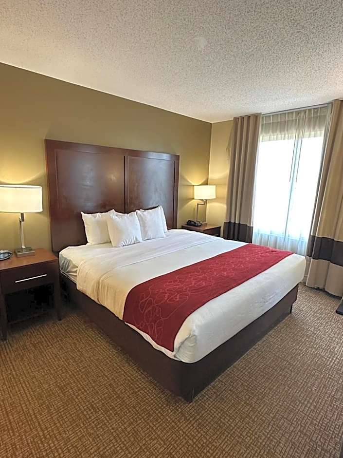 Photo 1 of 8 of 1 Bedroom Suite, Mobility Accessible