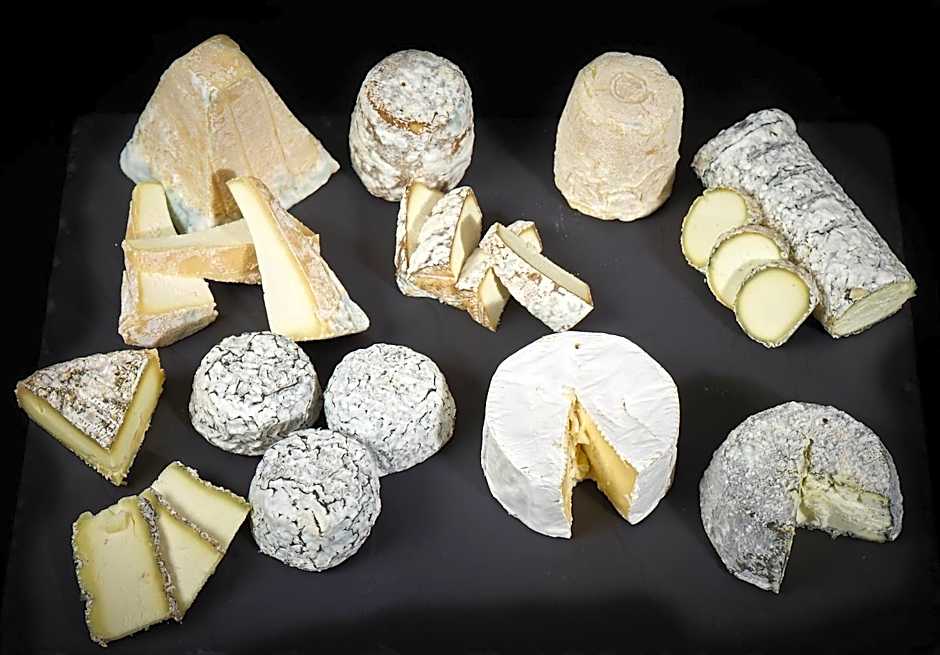 ibis Site du Futuroscope