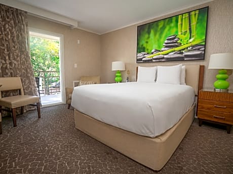 Standard Queen Room