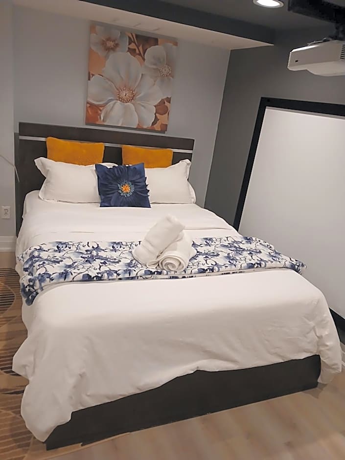 Furnished calm basement studio apartment