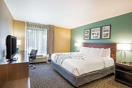 King Room - Non-Smoking/Pet Friendly