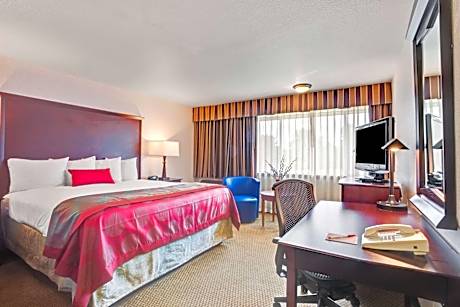 1 King Bed, River View, Non Smoking