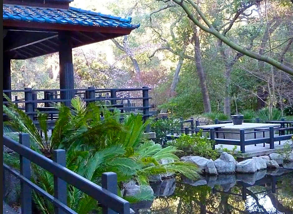 SoCal Lux on Miramar