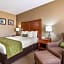 Comfort Inn & Suites Sacramento