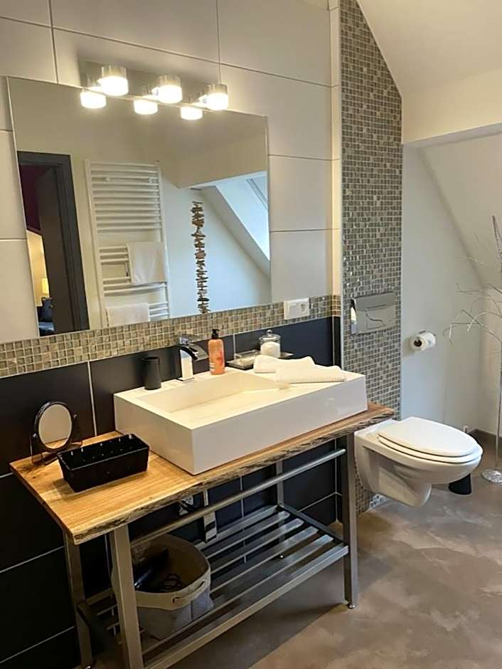 Les Myosotis Chambres d'hôtes - Sarreguemines